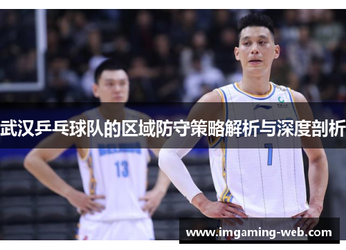 武汉乒乓球队的区域防守策略解析与深度剖析