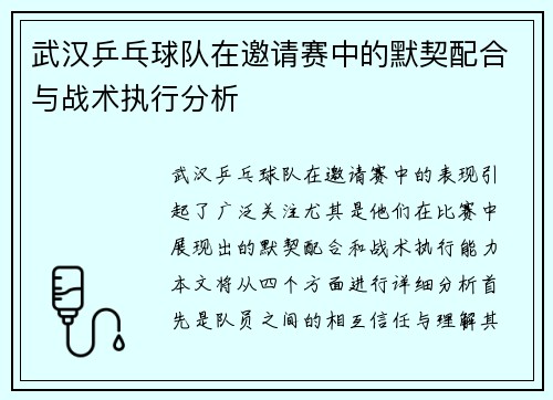 武汉乒乓球队在邀请赛中的默契配合与战术执行分析