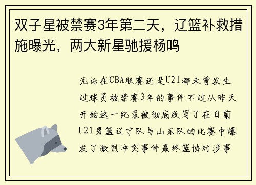双子星被禁赛3年第二天，辽篮补救措施曝光，两大新星驰援杨鸣