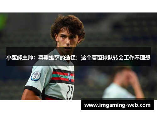 小蜜蜂主帅：尊重维萨的选择；这个夏窗球队转会工作不理想